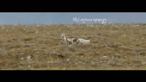 Заповедная Россия