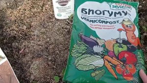 Чем заправить грядки в теплице? Обзор препаратов.