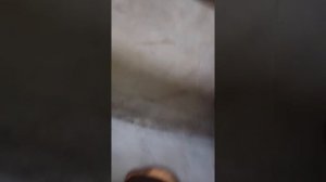 Срочно котел магнум 10,20,30 килловат ,халявная автоматика!