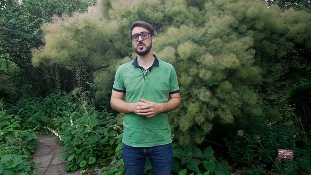 Самое важное видео про автополив! Зачем реально нужна ёмкость? IQ Poliv