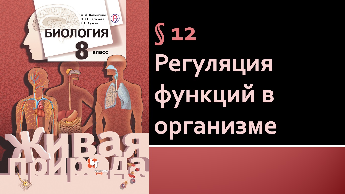 Параграф 12. Регуляция функций в организме