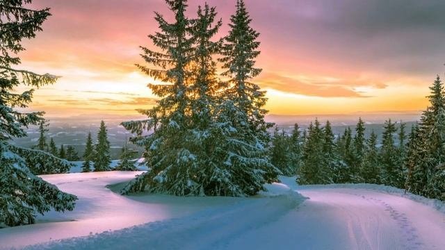 ЖИЗНЬ НА НОВОЙ ЗЕМЛЕ (ПСИХОЛОГИЧЕСКИЕ ОСОБЕННОСТИ И ЦЕЛИ РАЗВИТИЯ РАЗЛИЧНЫХ КОЛЛЕКТИВНЫХ СОЗНАНИЙ)