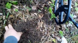 Коп 2021 в Беларуси | ВОТ ЭТО ДА!!! Нашёл их на Старой Дороге в Лесу |  Коп монет в Беларуси 2021