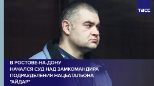 В Ростове-на-Дону начался суд над замкомандира подразделения нацбатальона "Айдар" #shorts