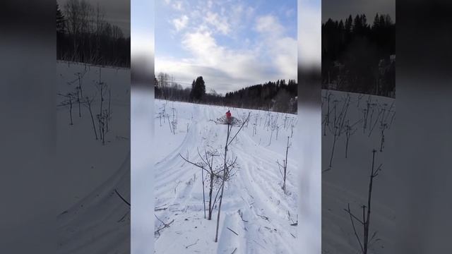 тикси 250 для прыжков смотреть онлайн