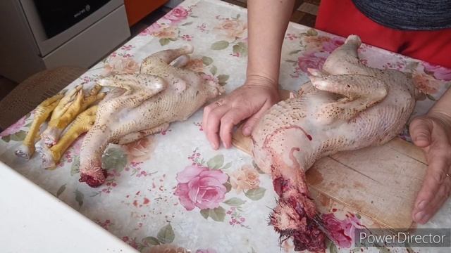 Была курицей, стала петухом ?, куры кормят коз ?, деревенская жизнь ?♀️. смотреть онлайн