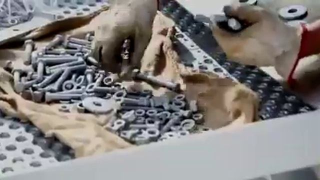 Монтаж башенного крана смотреть онлайн