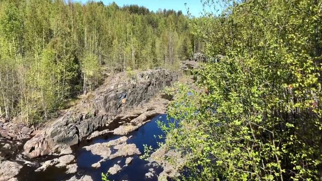 Карельские травы смотреть онлайн