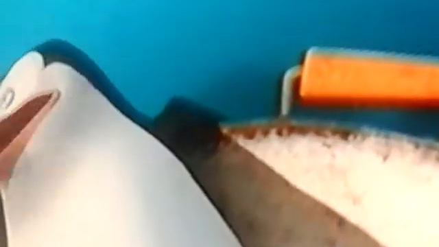 Отрывок из "Пингвины Мадагаскара"(1 часть)🐧🐧 смотреть онлайн