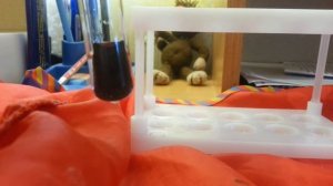 Серебряная губка. Опыт с медью и нитратом серебра 1%.