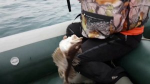 Камчатка. Рыба, икра и прочие деликатесы.