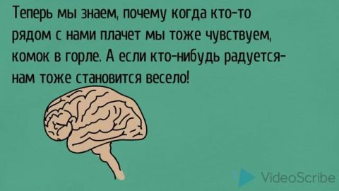 Эмоциональный интеллект. Тренинг развития эмоционального интеллекта
