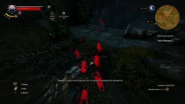 Прохождение The Witcher 3: Wild Hunt В волчьей шкуре # 77 смотреть онлайн