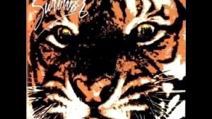 Survivor - Eye Of The Tiger (Instrumental)