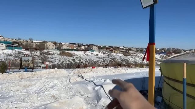 Верблюды Калмыцкие