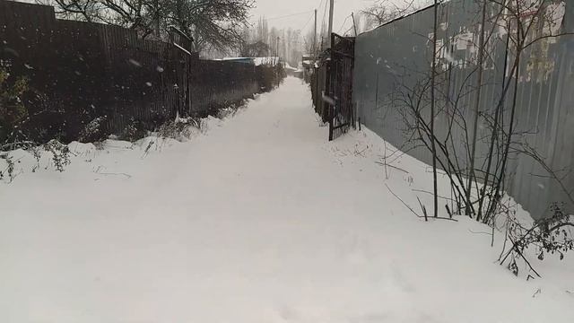 Засугробило. Зима пришла 27 11 2023 смотреть онлайн