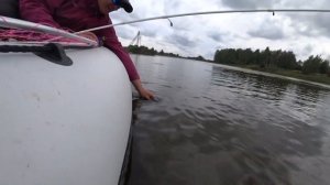 Рыбалка для начинающих. Ловля щуки и окуня для новичка. Основы спиннинга