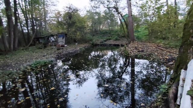 Проверка воды в пруду перед зарыблением.Chemical analysis of water смотреть онлайн