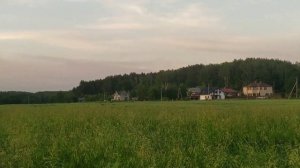 "НИНА ШИ" "МАМА ОТЛИЧНИКА" ОБЗОР ВЛОГОВ