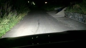 Led Lamps in Fog Lights - Светодиодные лампы в ПТФ