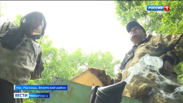 «Сладкое золото» Хабаровского края: в регионе начался сезон сбора мёда смотреть онлайн