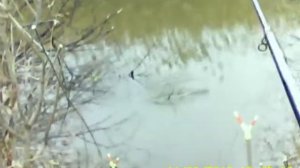 ПРО УФУ.  Выходной на Сикиязке.