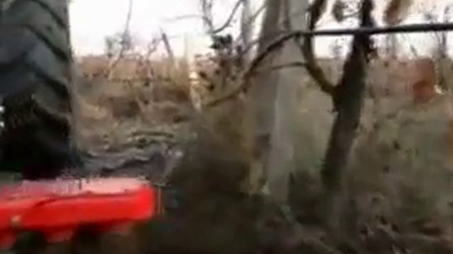 Фреза для приствольной обработки в винограднике.mp4 смотреть онлайн