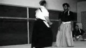 Янаги Рю Айки дзю дзюцу - мастер Дон Энджер