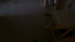 Мейн-кун разговаривает