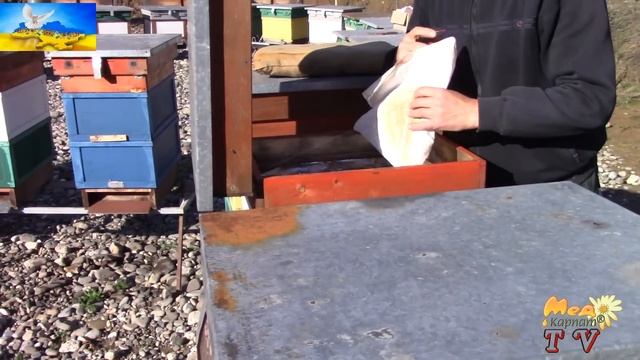 "Секрети" успішної зимівлі. смотреть онлайн