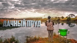 Дачный пруд! Рыбалка для души. Утренняя зорька. Лучшая прикормка.