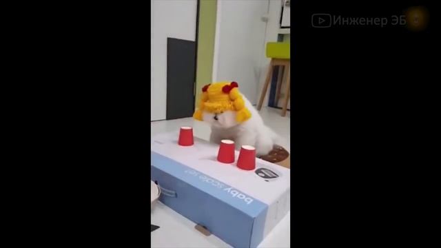 Дежавю это воспоминания о ? смотреть онлайн