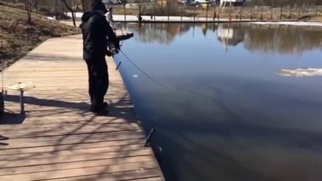 Fisherix смотреть онлайн