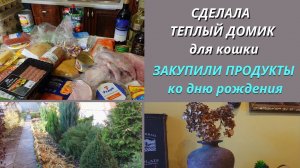 Влог/Сделала теплый домик для кошки/Закупили продукты ко дню рождения