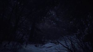 RESIDENT EVIL 8 OFFICIAL TRAILER / RESIDENT EVIL VILLAGE (2021) © CAPCOM
