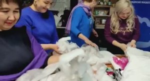 Приемная Партии Единая Россия в Башкортостане - Помощь швейбату