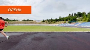 Специальные беговые упражнения (СБУ) | EfimovTeam