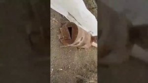 Как сделать печку на дровах самому. Из бочки и кирпича