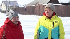 В жилом районе Южный, свора бродячих собак держит в страхе местных жителей