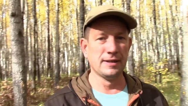 С МАМУЛЕЙ ЗА ОПЯТАМИ! Осенние опята. Опята 2020. Опята грибы. Грибы 2020. Грибы. Грибы опята. смотреть онлайн