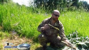 ЕДА В ЛЕСУ, ЕДА В ПОХОДЕ, ЛЕСНАЯ ЕДА. Лопух и Мокрица - бушкрафт еда и выживание в лесу.