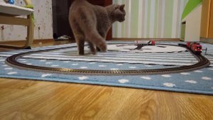 Железная дорога PIKO. МОЯ МЕЧТА. Первый запуск. #PIKO #ДЕТСКАЯЖЕДЕЗНАЯДОРОГА #PIKOSpielwarenGmbH