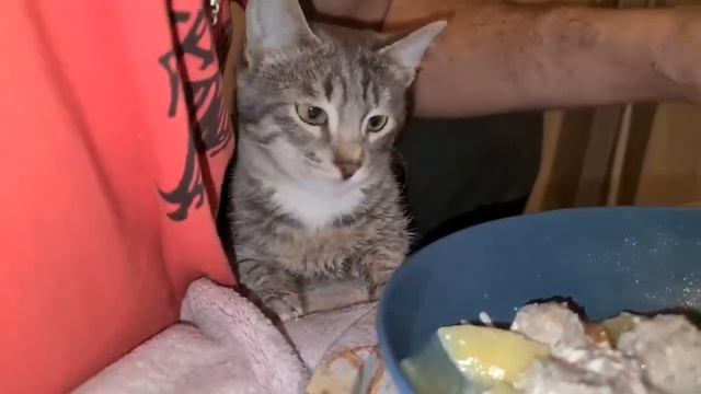Кто разыскивает малолетнего воришку по кличке Чох?
