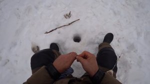 Зимняя рыбалка на снегоходе | Река малый Кинель | Ловля уклейки и ельца | В гостях у Владимира