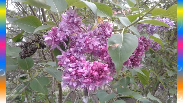 И во что они верили, так оно и было смотреть онлайн