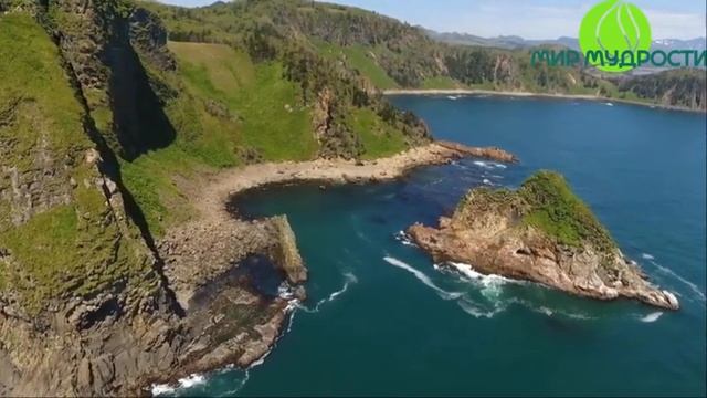 Древняя практика цигун! Внутренняя алхимия! Педрам Шоджай и НикОшо