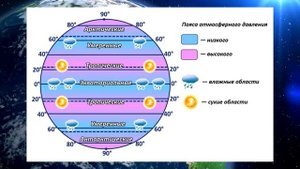 География 5-6кл. §45 "Погода и климат"