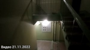 [ Р-Д ] Странный писк из Машинного Помещения лифта. Что-бы это могло быть?