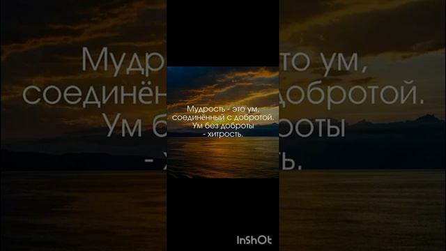 во сне кричу✌✌✌ цыганские песни. 2023 смотреть онлайн