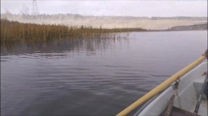 Ловля хищника на живца в октябре 2020 года!!!